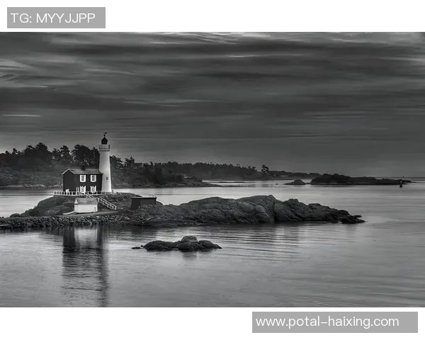 亚当斯的传奇人生与不朽影响探秘之旅