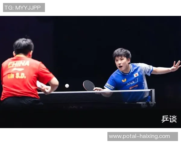 张本智和与波尔精彩对决全场回顾与分析